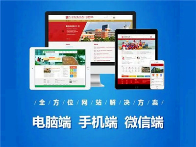 定制型